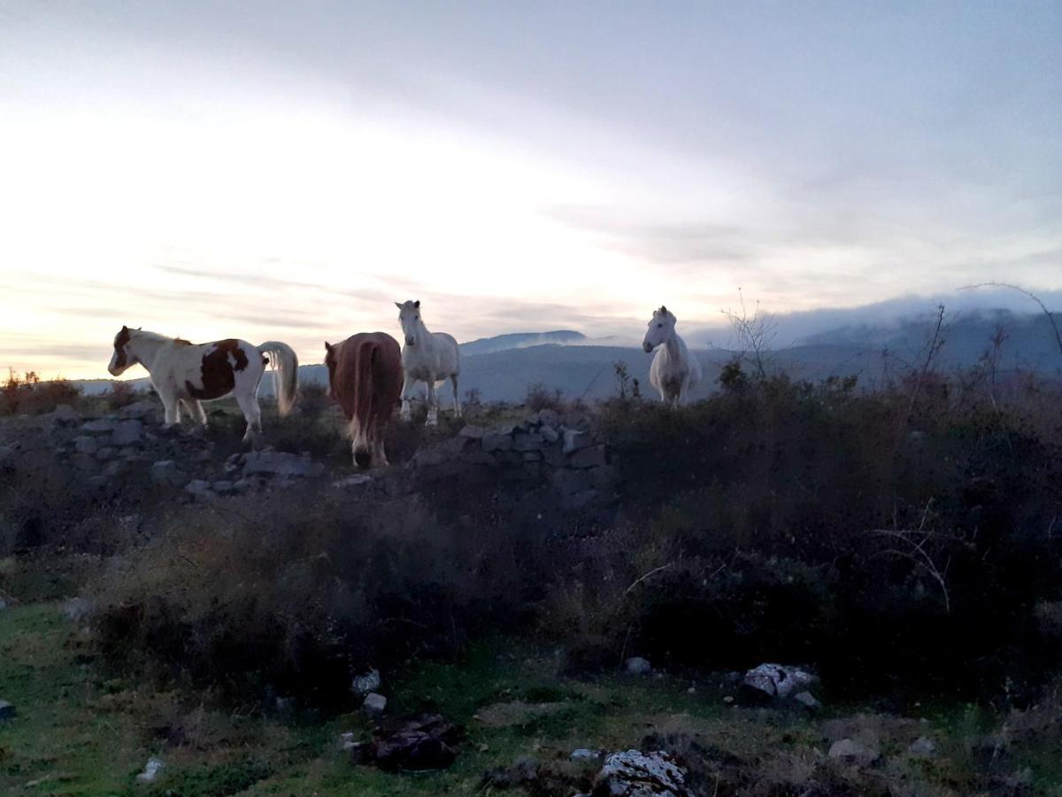 Casasdetrevijano Mirador De Mateo Villa Soto en Cameros Luaran gambar
